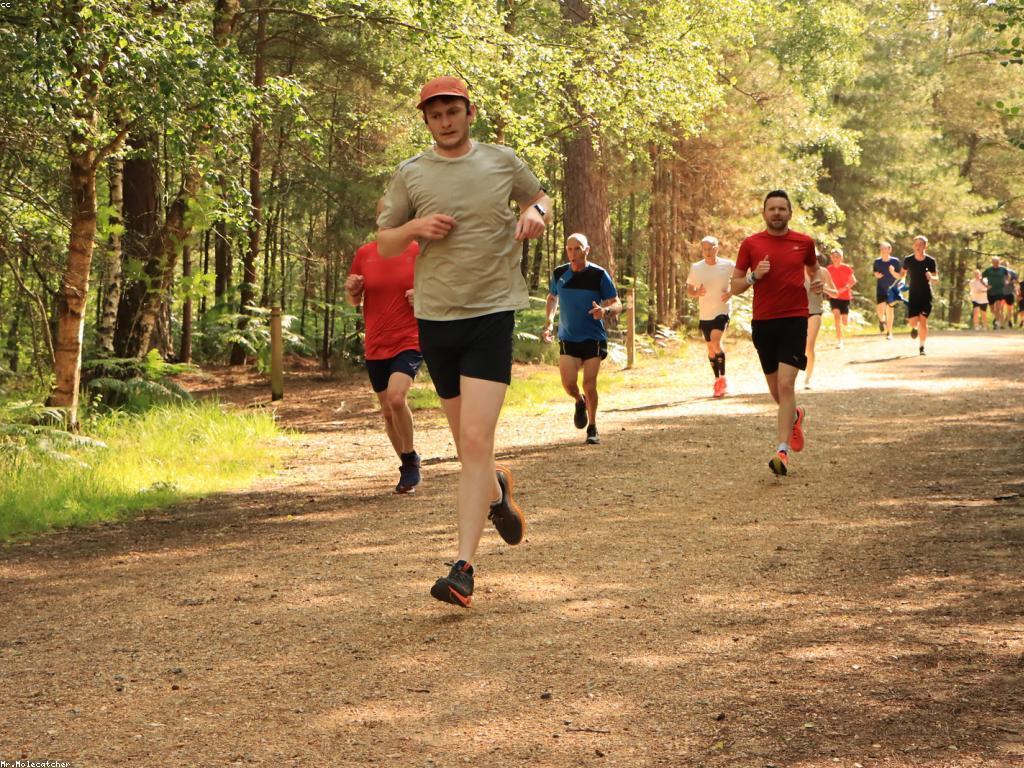 អ្នកណាដែលគួរតែចាប់ផ្តើមកម្សាន្តថ្មី?